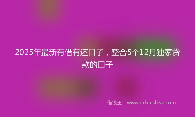 2025年最新有借有还口子，整合5个12月独家贷款的口子