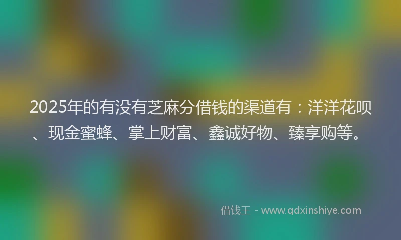 2025年的有没有芝麻分借钱的渠道有：洋洋花呗、现金蜜蜂、掌上财富、鑫诚好物、臻享购等。