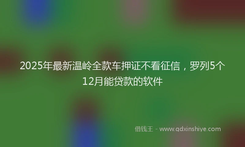 2025年最新温岭全款车押证不看征信，罗列5个12月能贷款的软件