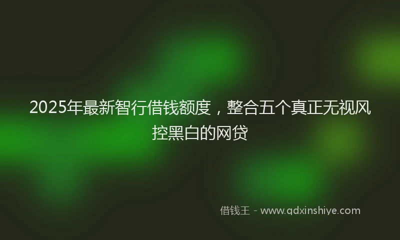 2025年最新智行借钱额度，整合五个真正无视风控黑白的网贷