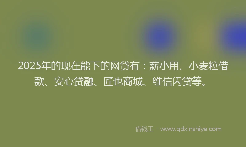2025年的现在能下的网贷有：薪小用、小麦粒借款、安心贷融、匠也商城、维信闪贷等。