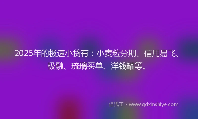 2025年的极速小贷有：小麦粒分期、信用易飞、极融、琉璃买单、洋钱罐等。
