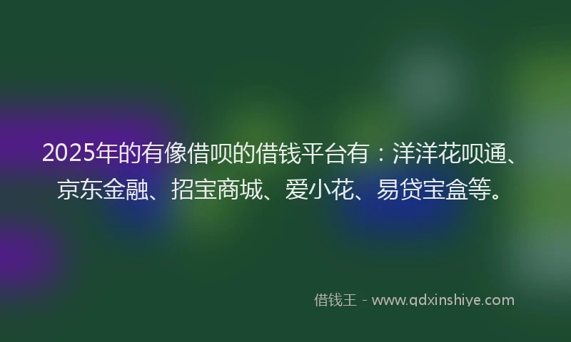 2025年的有像借呗的借钱平台有：洋洋花呗通、京东金融、招宝商城、爱小花、易贷宝盒等。