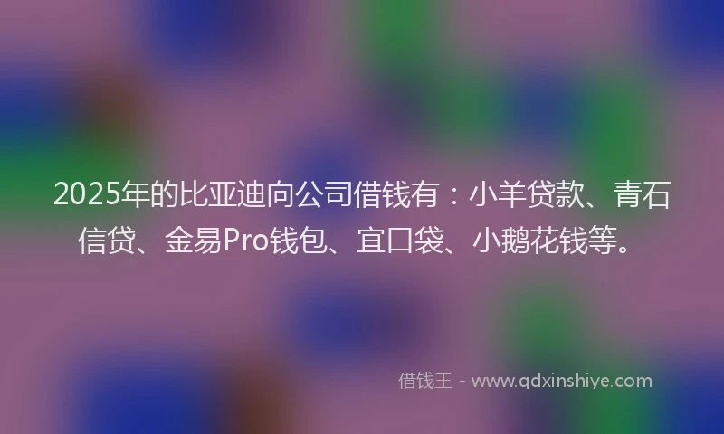2025年的比亚迪向公司借钱有：小羊贷款、青石信贷、金易Pro钱包、宜口袋、小鹅花钱等。