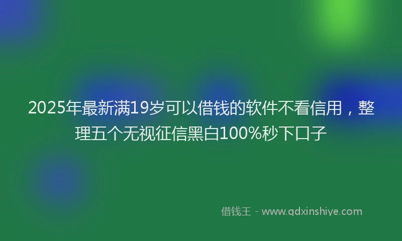 2025年最新满19岁可以借钱的软件不看信用，整理五个无视征信黑白100%秒下口子