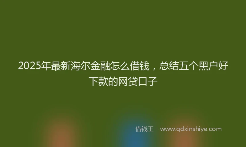 2025年最新海尔金融怎么借钱，总结五个黑户好下款的网贷口子