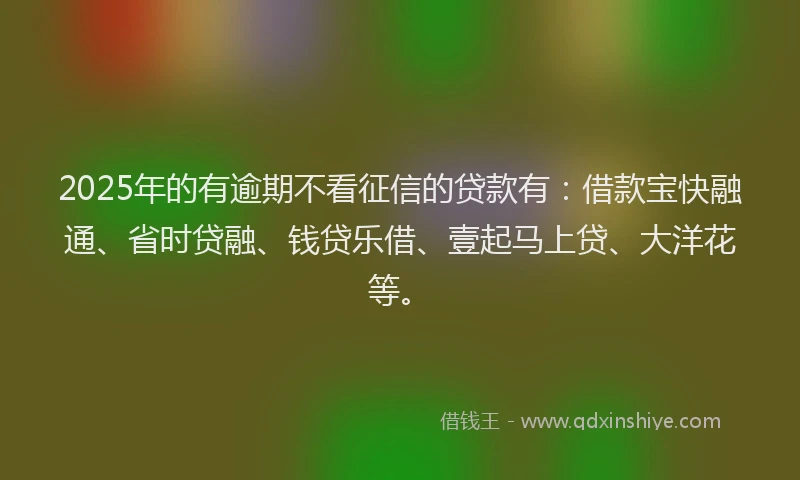 2025年的有逾期不看征信的贷款有：借款宝快融通、省时贷融、钱贷乐借、壹起马上贷、大洋花等。
