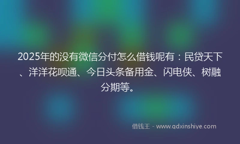 2025年的没有微信分付怎么借钱呢有：民贷天下、洋洋花呗通、今日头条备用金、闪电侠、树融分期等。