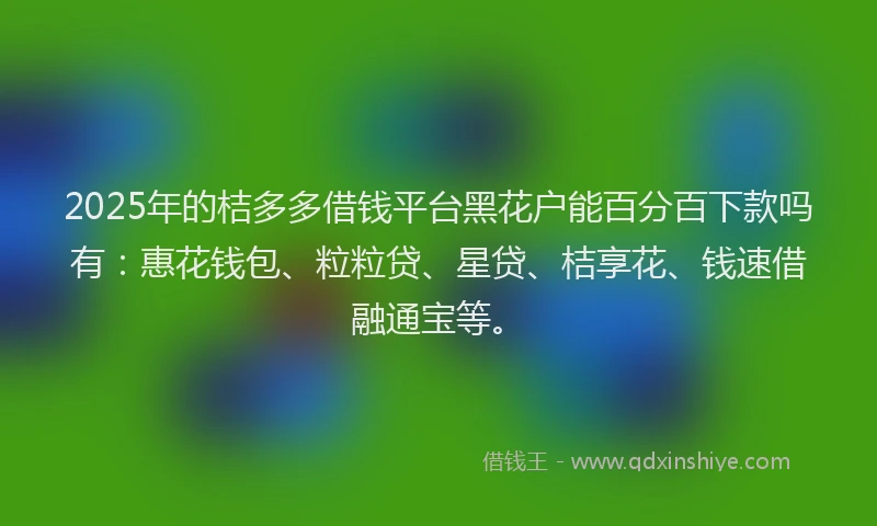 2025年的桔多多借钱平台黑花户能百分百下款吗有：惠花钱包、粒粒贷、星贷、桔享花、钱速借融通宝等。