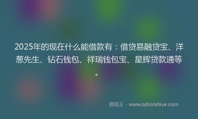 2025年的现在什么能借款有：借贷易融贷宝、洋葱先生、钻石钱包、祥瑞钱包宝、星辉贷款通等。
