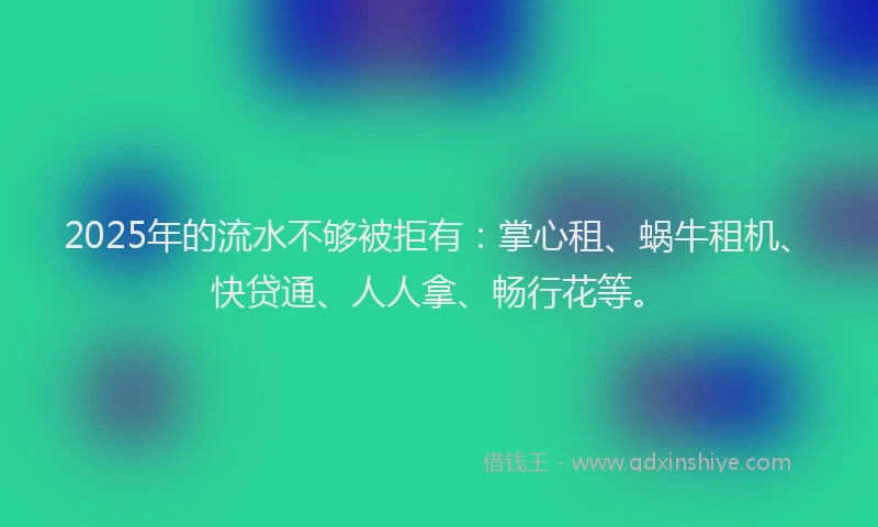 2025年的流水不够被拒有：掌心租、蜗牛租机、快贷通、人人拿、畅行花等。