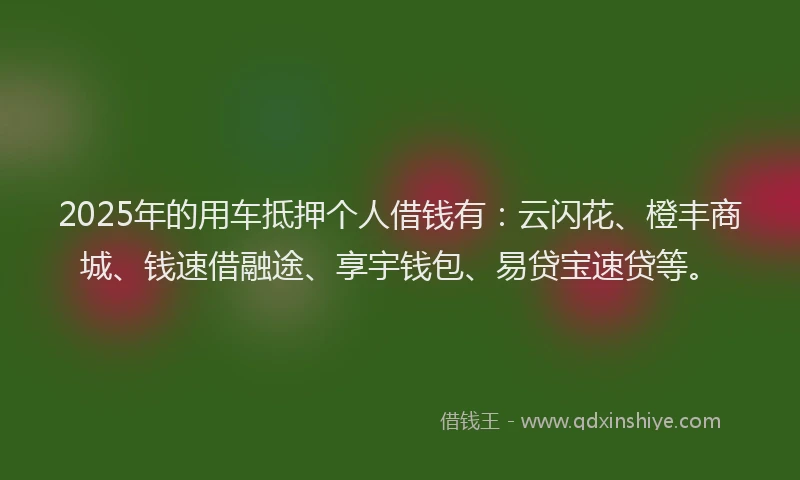 2025年的用车抵押个人借钱有：云闪花、橙丰商城、钱速借融途、享宇钱包、易贷宝速贷等。