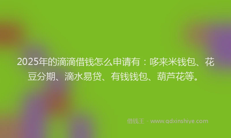 2025年的滴滴借钱怎么申请有：哆来米钱包、花豆分期、滴水易贷、有钱钱包、葫芦花等。