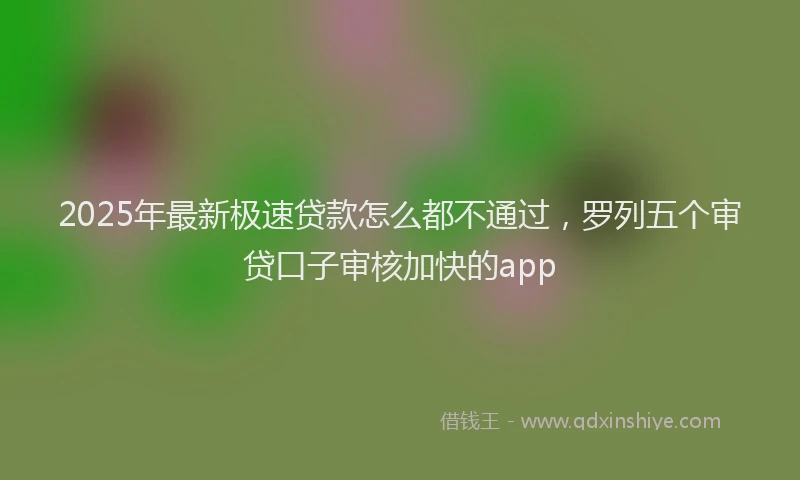 2025年最新极速贷款怎么都不通过，罗列五个审贷口子审核加快的app