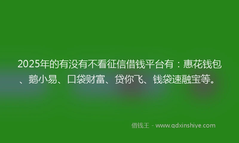 2025年的有没有不看征信借钱平台有：惠花钱包、鹅小易、口袋财富、贷你飞、钱袋速融宝等。