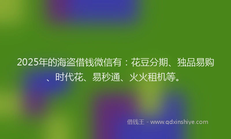 2025年的海盗借钱微信有：花豆分期、独品易购、时代花、易秒通、火火租机等。