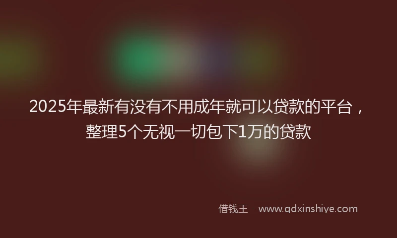 2025年最新有没有不用成年就可以贷款的平台，整理5个无视一切包下1万的贷款