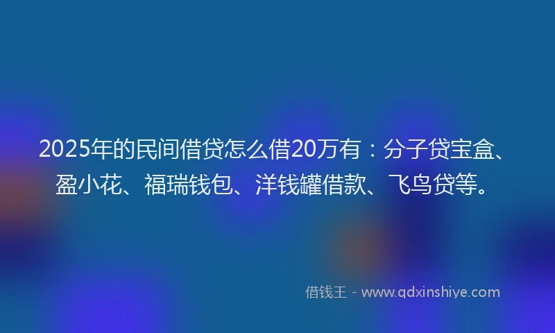 2025年的民间借贷怎么借20万有：分子贷宝盒、盈小花、福瑞钱包、洋钱罐借款、飞鸟贷等。