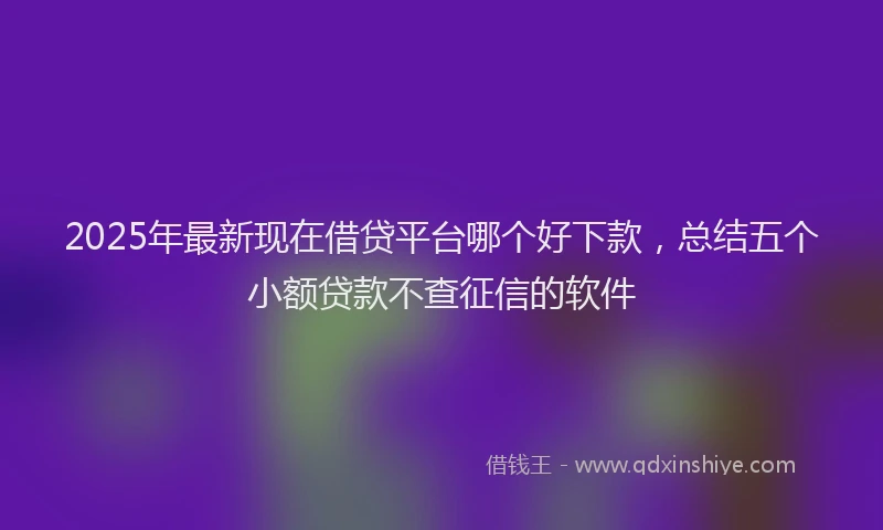 2025年最新现在借贷平台哪个好下款，总结五个小额贷款不查征信的软件