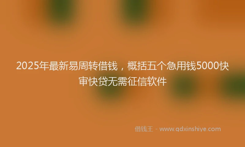 2025年最新易周转借钱，概括五个急用钱5000快审快贷无需征信软件