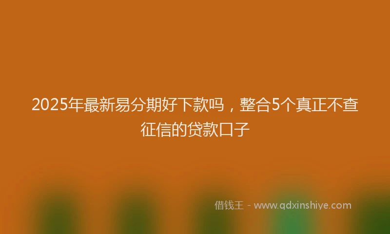 2025年最新易分期好下款吗，整合5个真正不查征信的贷款口子