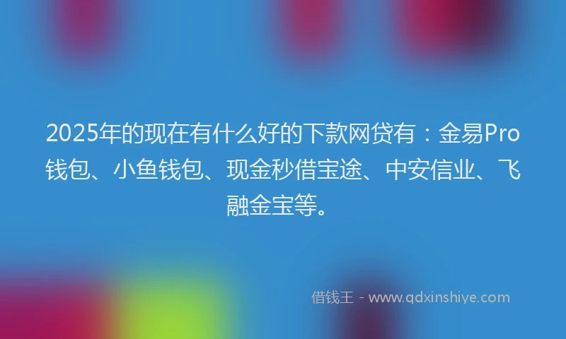 2025年的现在有什么好的下款网贷有：金易Pro钱包、小鱼钱包、现金秒借宝途、中安信业、飞融金宝等。