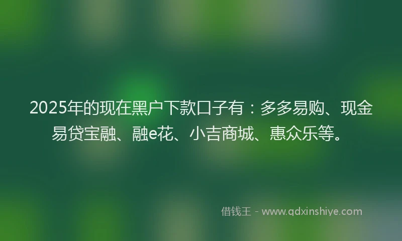 2025年的现在黑户下款口子有：多多易购、现金易贷宝融、融e花、小吉商城、惠众乐等。