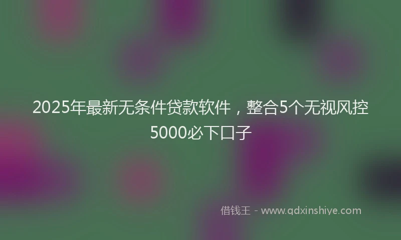 2025年最新无条件贷款软件，整合5个无视风控5000必下口子