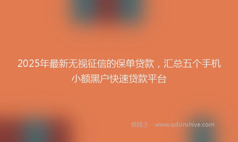 2025年最新无视征信的保单贷款，汇总五个手机小额黑户快速贷款平台
