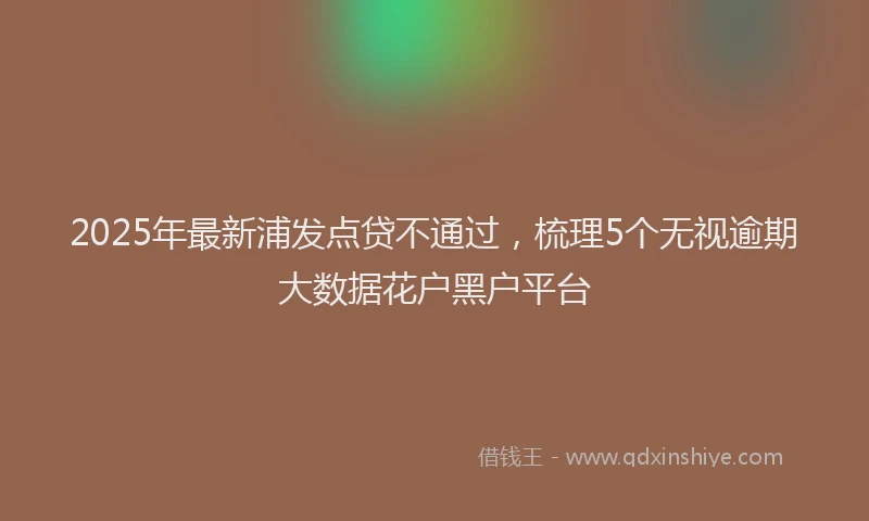 2025年最新浦发点贷不通过，梳理5个无视逾期大数据花户黑户平台