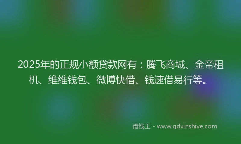 2025年的正规小额贷款网有：腾飞商城、金帝租机、维维钱包、微博快借、钱速借易行等。