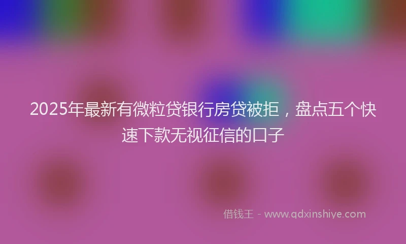 2025年最新有微粒贷银行房贷被拒，盘点五个快速下款无视征信的口子