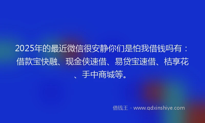2025年的最近微信很安静你们是怕我借钱吗有：借款宝快融、现金侠速借、易贷宝速借、桔享花、手中商城等。