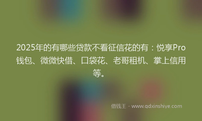 2025年的有哪些贷款不看征信花的有：悦享Pro钱包、微微快借、口袋花、老哥租机、掌上信用等。