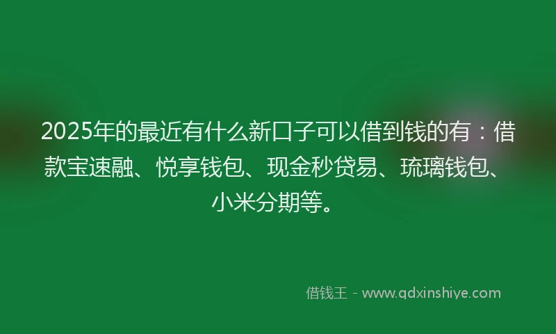 2025年的最近有什么新口子可以借到钱的有：借款宝速融、悦享钱包、现金秒贷易、琉璃钱包、小米分期等。