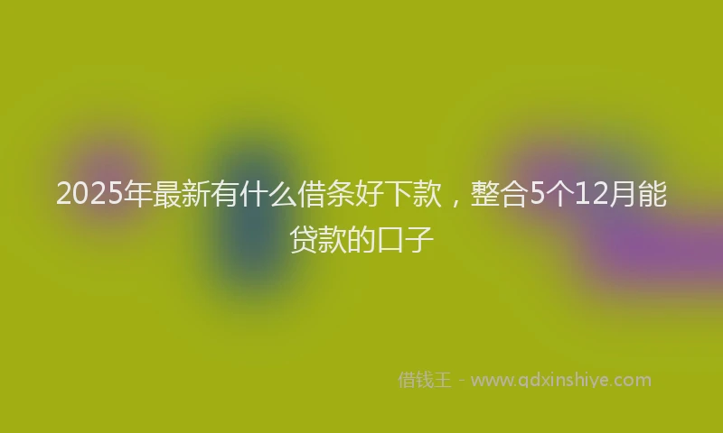 2025年最新有什么借条好下款，整合5个12月能贷款的口子