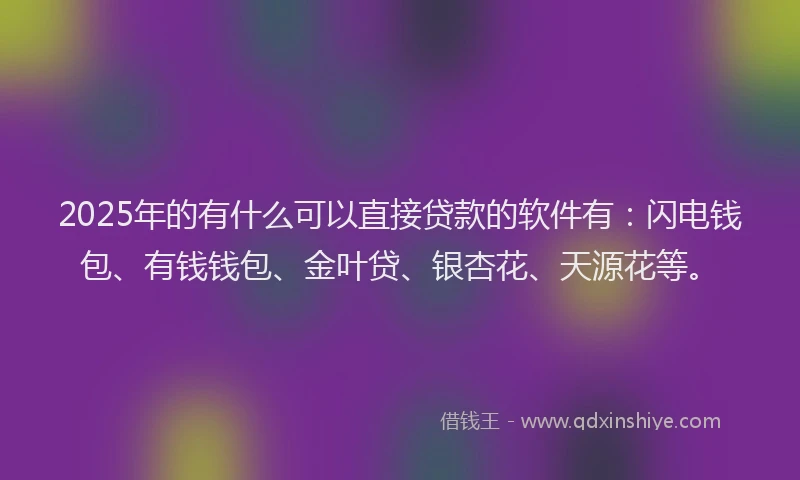 2025年的有什么可以直接贷款的软件有：闪电钱包、有钱钱包、金叶贷、银杏花、天源花等。