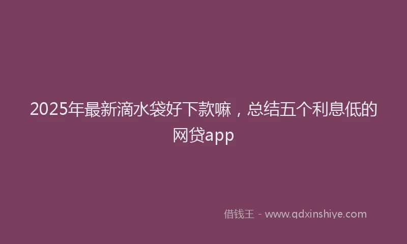 2025年最新滴水袋好下款嘛，总结五个利息低的网贷app