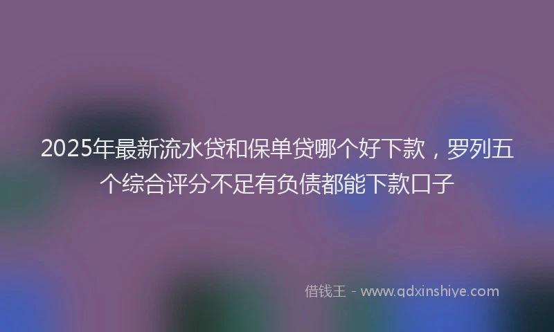 2025年最新流水贷和保单贷哪个好下款，罗列五个综合评分不足有负债都能下款口子