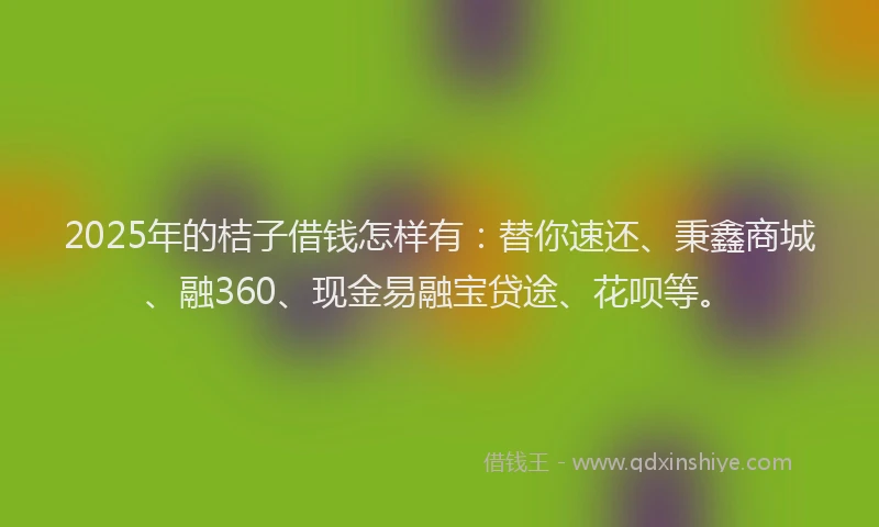 2025年的桔子借钱怎样有：替你速还、秉鑫商城、融360、现金易融宝贷途、花呗等。