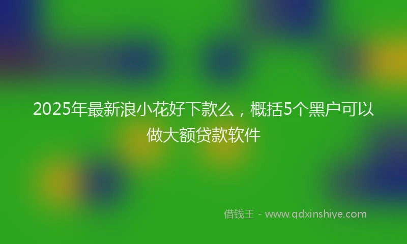 2025年最新浪小花好下款么，概括5个黑户可以做大额贷款软件