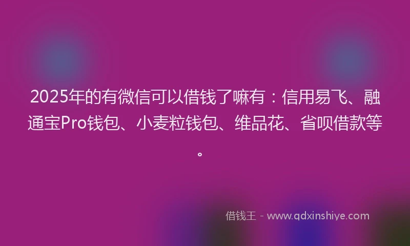 2025年的有微信可以借钱了嘛有：信用易飞、融通宝Pro钱包、小麦粒钱包、维品花、省呗借款等。