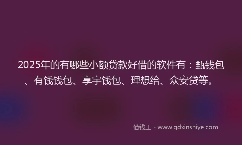 2025年的有哪些小额贷款好借的软件有：甄钱包、有钱钱包、享宇钱包、理想给、众安贷等。