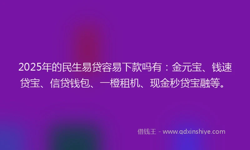 2025年的民生易贷容易下款吗有：金元宝、钱速贷宝、信贷钱包、一橙租机、现金秒贷宝融等。