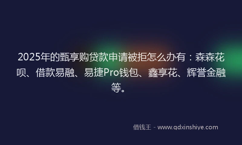 2025年的甄享购贷款申请被拒怎么办有：森森花呗、借款易融、易捷Pro钱包、鑫享花、辉誉金融等。