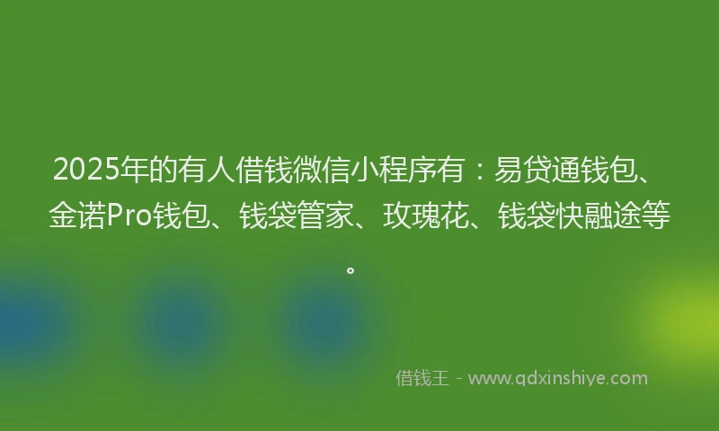 2025年的有人借钱微信小程序有：易贷通钱包、金诺Pro钱包、钱袋管家、玫瑰花、钱袋快融途等。