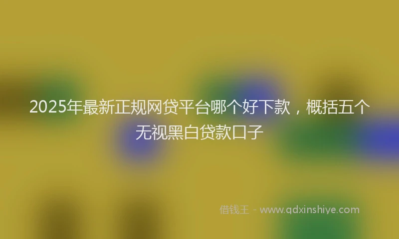 2025年最新正规网贷平台哪个好下款，概括五个无视黑白贷款口子