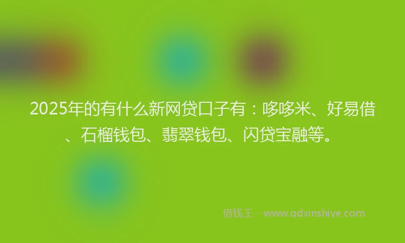 2025年的有什么新网贷口子有：哆哆米、好易借、石榴钱包、翡翠钱包、闪贷宝融等。