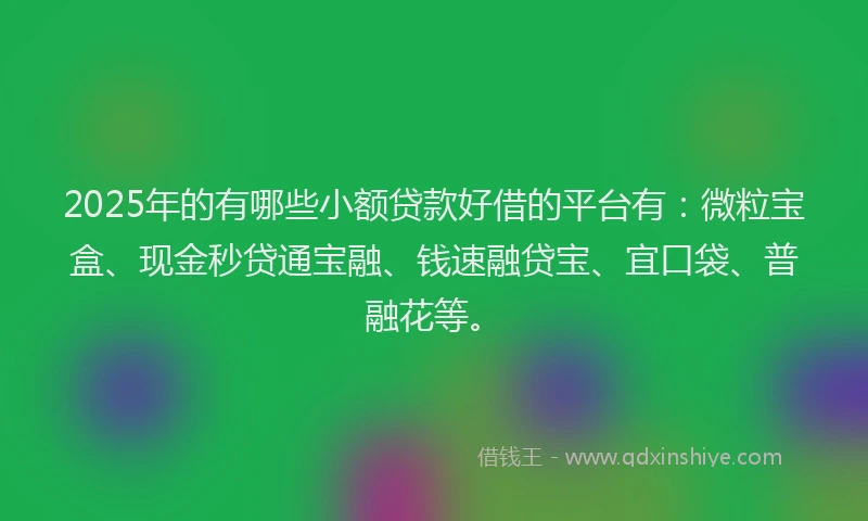 2025年的有哪些小额贷款好借的平台有：微粒宝盒、现金秒贷通宝融、钱速融贷宝、宜口袋、普融花等。