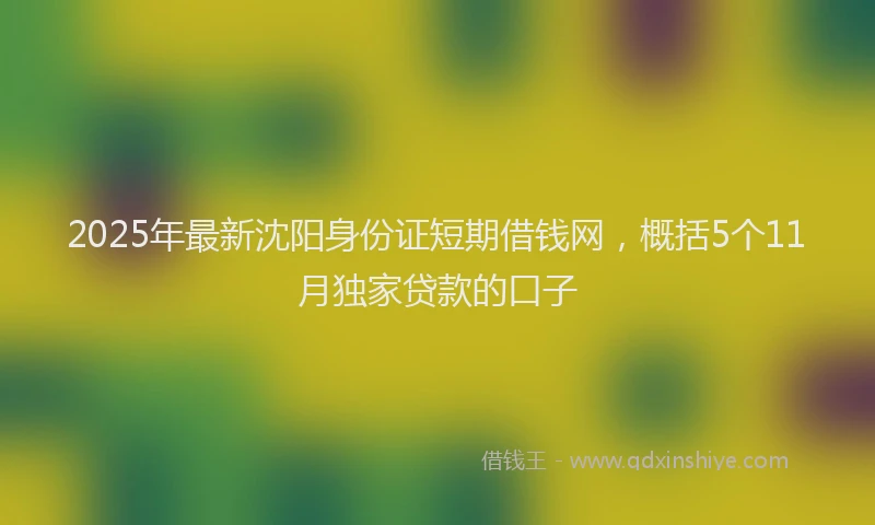2025年最新沈阳身份证短期借钱网，概括5个11月独家贷款的口子